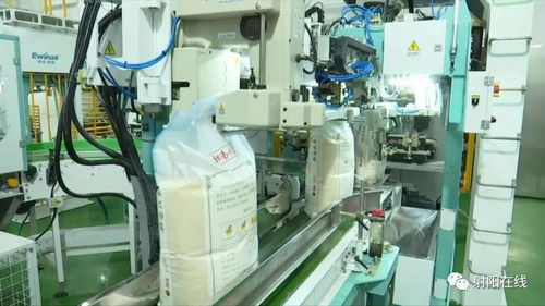 射阳大米首获省政府农业技术推广奖，技术创新引领产业升级