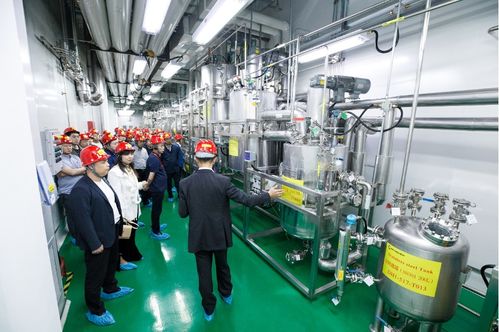 连续赋能，技术变现 连续流技术推广现场会在敦化成功召开