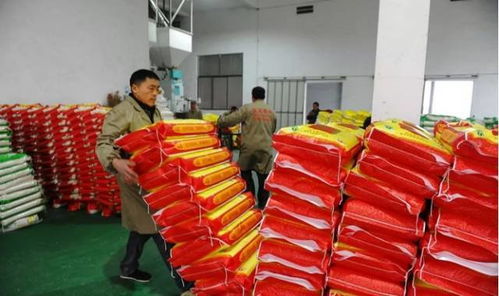 农业技术推广的发展方向探讨